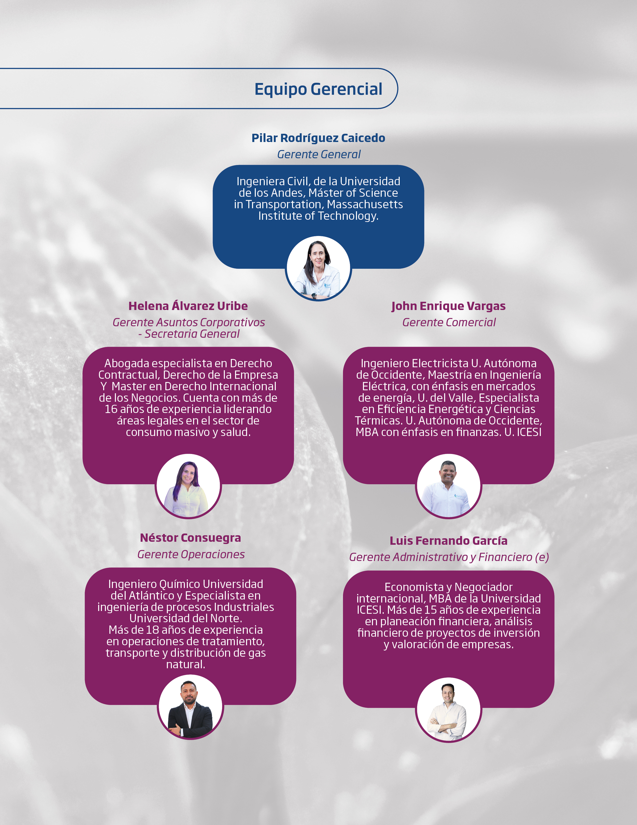 Administradores sociedad